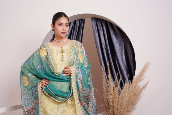 Pashmina Suits Category For Press Release Submission Sites